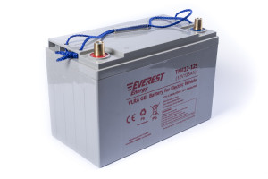 17377194 Тяговая аккумуляторная батарея TNE 12-125 EVEREST Energy