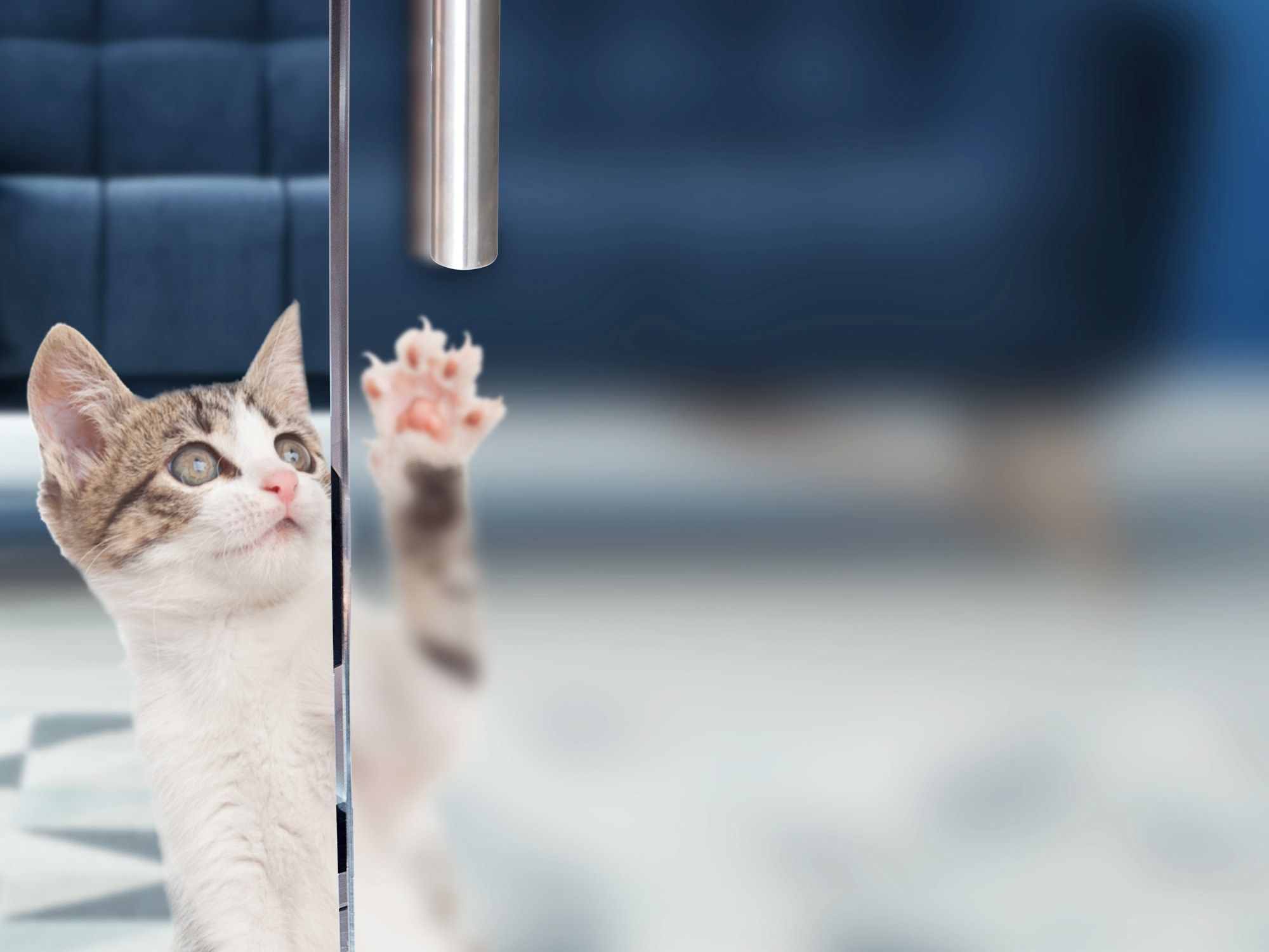 Устойчивое к царапинам и пятнам стекло Madras® Madras ® Satinati ARCH-00004938