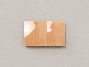 Керамическая туалетная панель управления