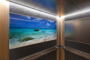 FSRT713 Интерьер лифта Levele-102 с индивидуальной компоновкой панелей; с панелью lightplane из стекла vivispectra Spectrum с индивидуальной прослойкой изображения и стандартной отделкой; основные панели из клееного алюминия с естественной патиной и рисун Forms-surfaces 