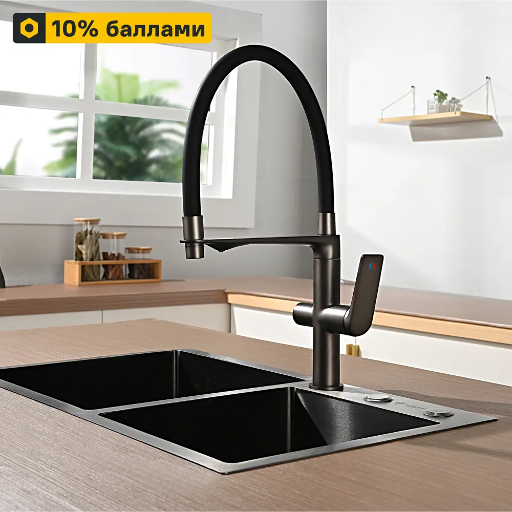 Смеситель DELINIA Нея с фильтром для кухни и гибким изливом 88780482