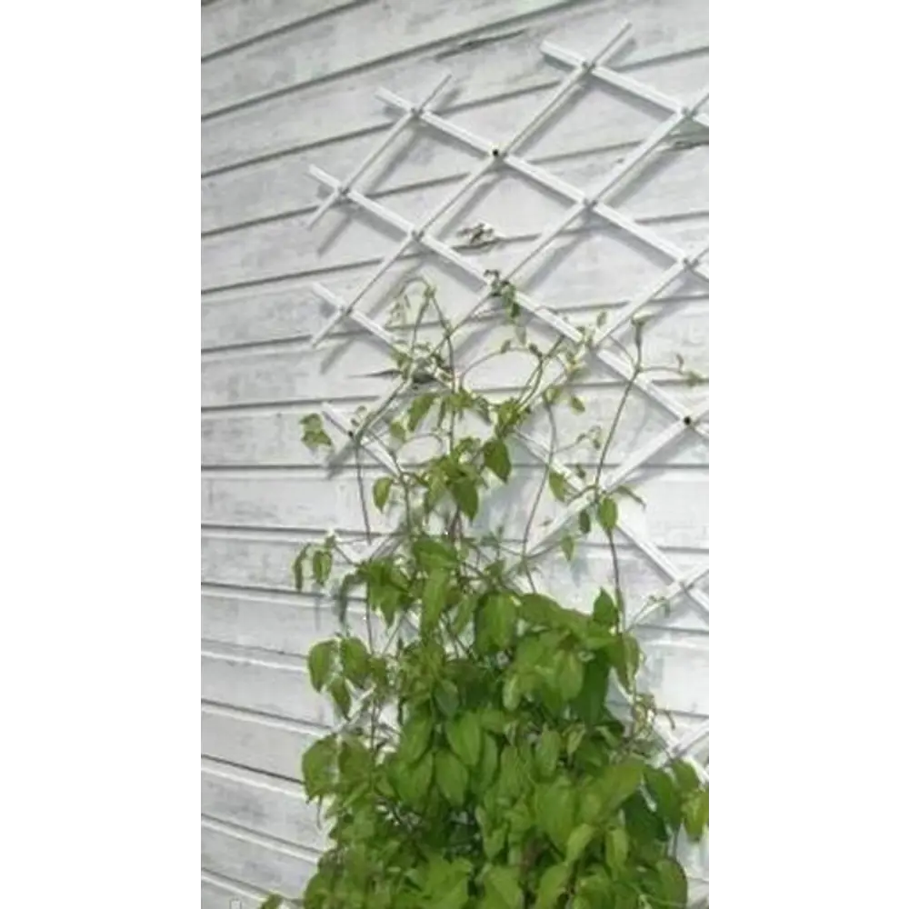 Santreyd Шпалера для вертикального озеленения 56×188 см 83823779 STLM-0044733 - Вид №2