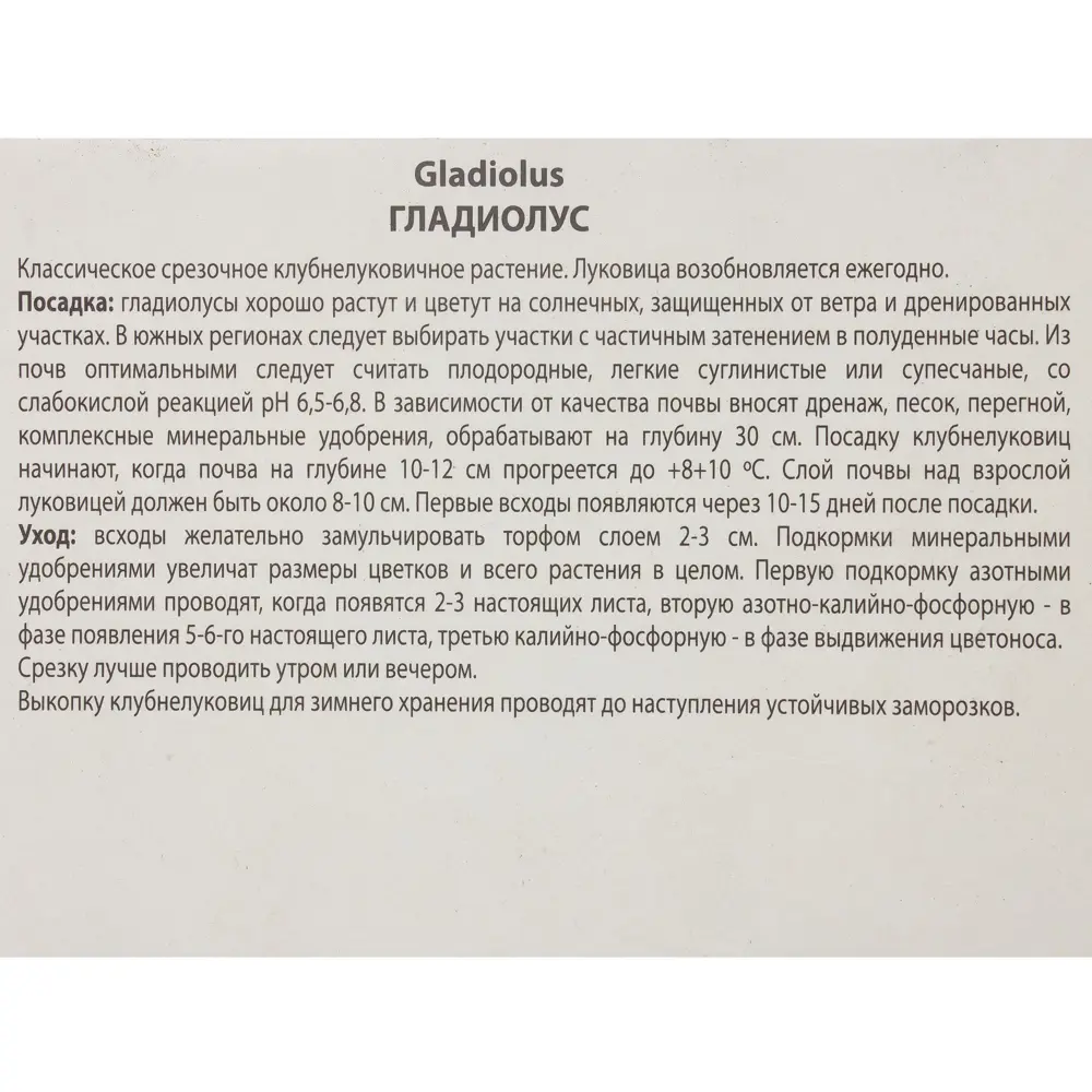 Гладиолус крупноцветковой Бангладеш 10/12, 3 шт 81945431 STLM-2020494 ПОИСК  - Вид №2