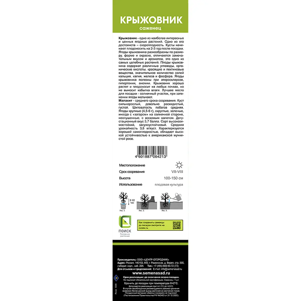 Крыжовник Малахит коробка h39 см 89408235 STLM-2091305 Santreyd  - Вид №1