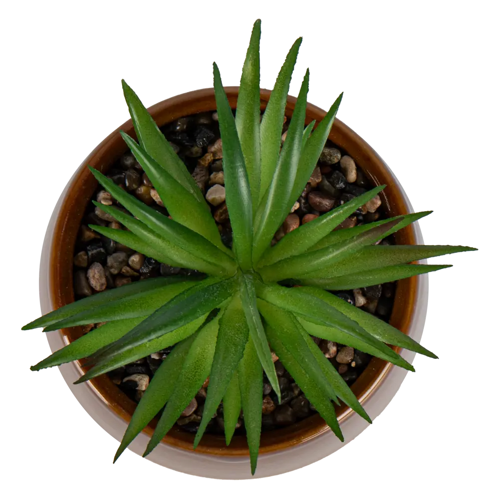 Искусственное растение Flora H12xD8.5 см цвет коричневый пластик Atmosphera STLM-2060645 - Вид №1