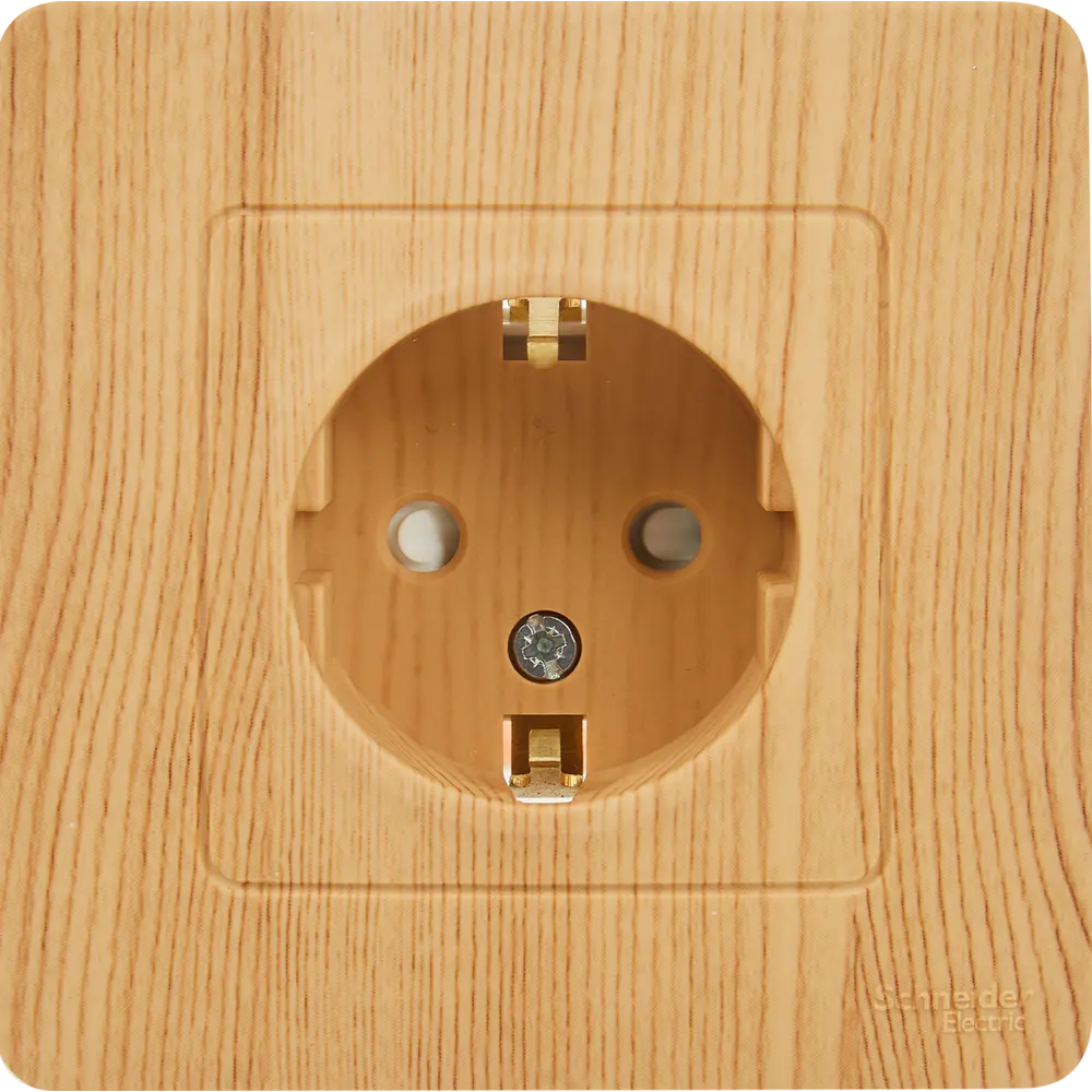 Розетка Systeme Electric Blanca ясень с защитными шторками 84500173 Серия отсутствует STLM-0050671