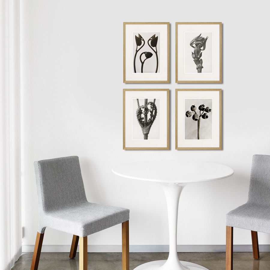 Картина: Botanical philosophy of forms №3, 1912г. КАРТИНЫ В КВАРТИРУ  264877 Разноцветный  - Вид №2