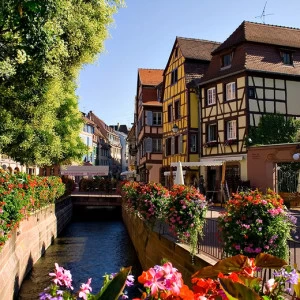 B1-021 Фотообои DIVINO Collection B 2.7х3 м