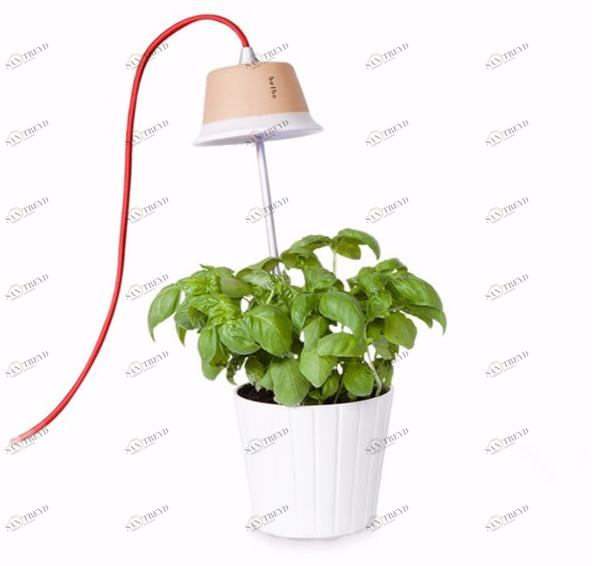 Linea Light Group Подвесной светильник / настольная лампа Chlorophyll sun-id-1445967