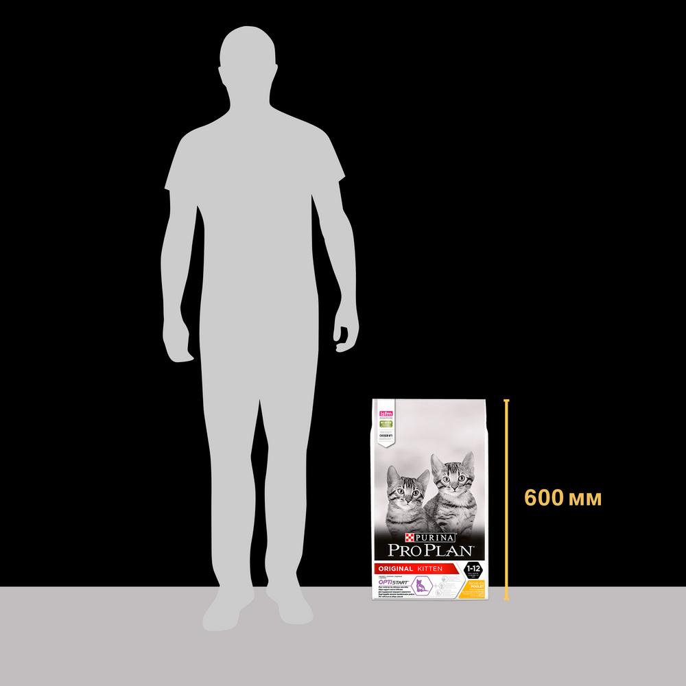 ПР0047280 Корм для котят от 1 до 12 месяцев, курица сух. 10 кг Pro Plan  - Вид №8