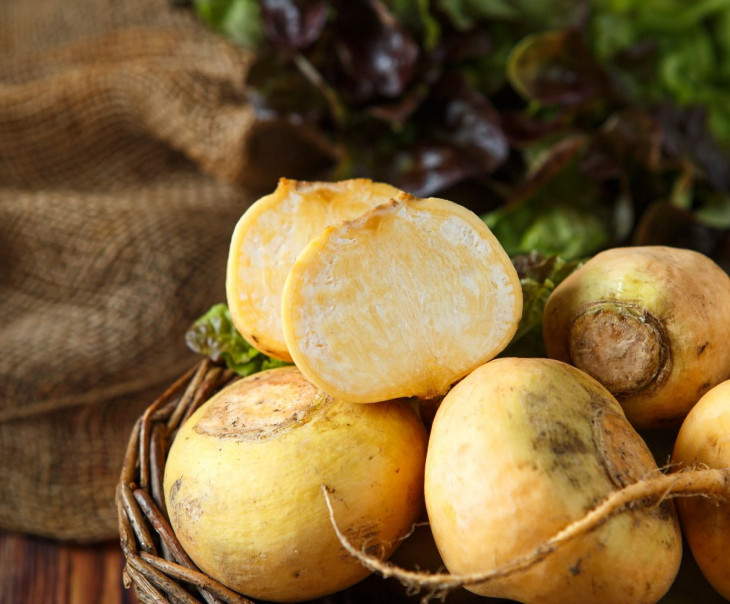 9431 Репа Вкусляндия  - Вид №1