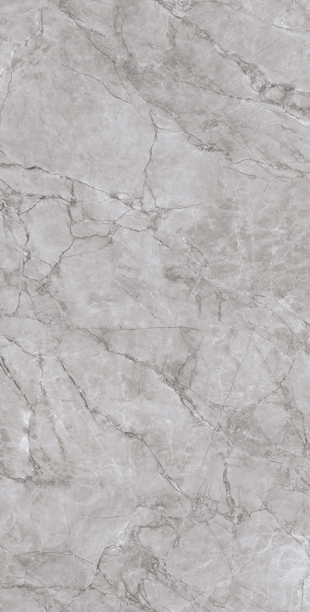 ARCTIC GREY LAPPATO ARCADIA CERAMICA CL4005-A - Вид №6