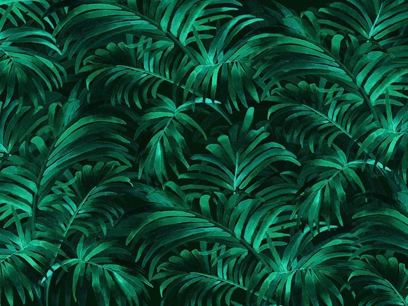 Wallpepper Group Тропические обои, экологически чистые, без пвх и моющиеся Ambiente sun-id-1387747 - Вид №1