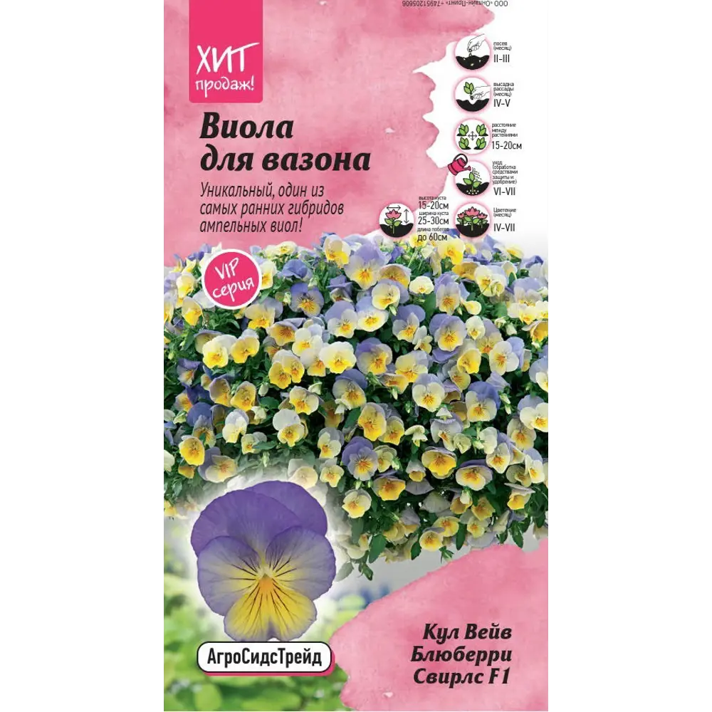 Семена цветов Агросидстрейд виола Кул Вейв Блюберри Свирл F1 5 шт STLM-2066459