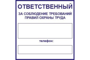 16012093 Маленькая наклейка Ответственный за охрану труда 1-14-11-1-31 REXXON