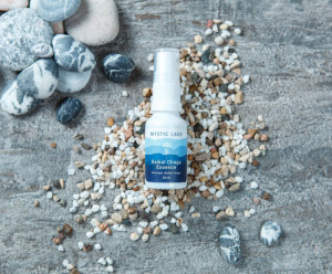 7231 Эссенция " Baikal chaga" Вкусляндия