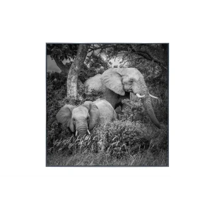 91336282 Картина в раме Alumoart "Elephant Family" 76x76 см, крепление через профиль STLM-0824934