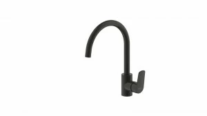 Смеситель для кухни Rhein F7429564BW-ENG bravat