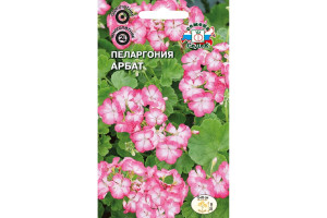 18408559 Семена Пеларгония Арбат 00000015013 СеДек