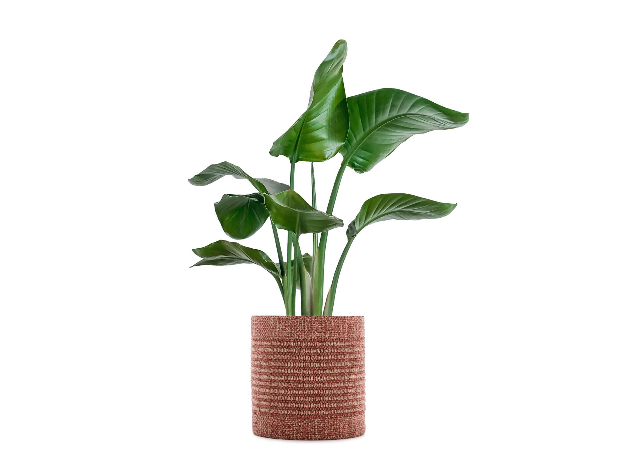 Круглая ваза из переработанной ткани Kartell KLEO ARCH-00145213 - Вид №11