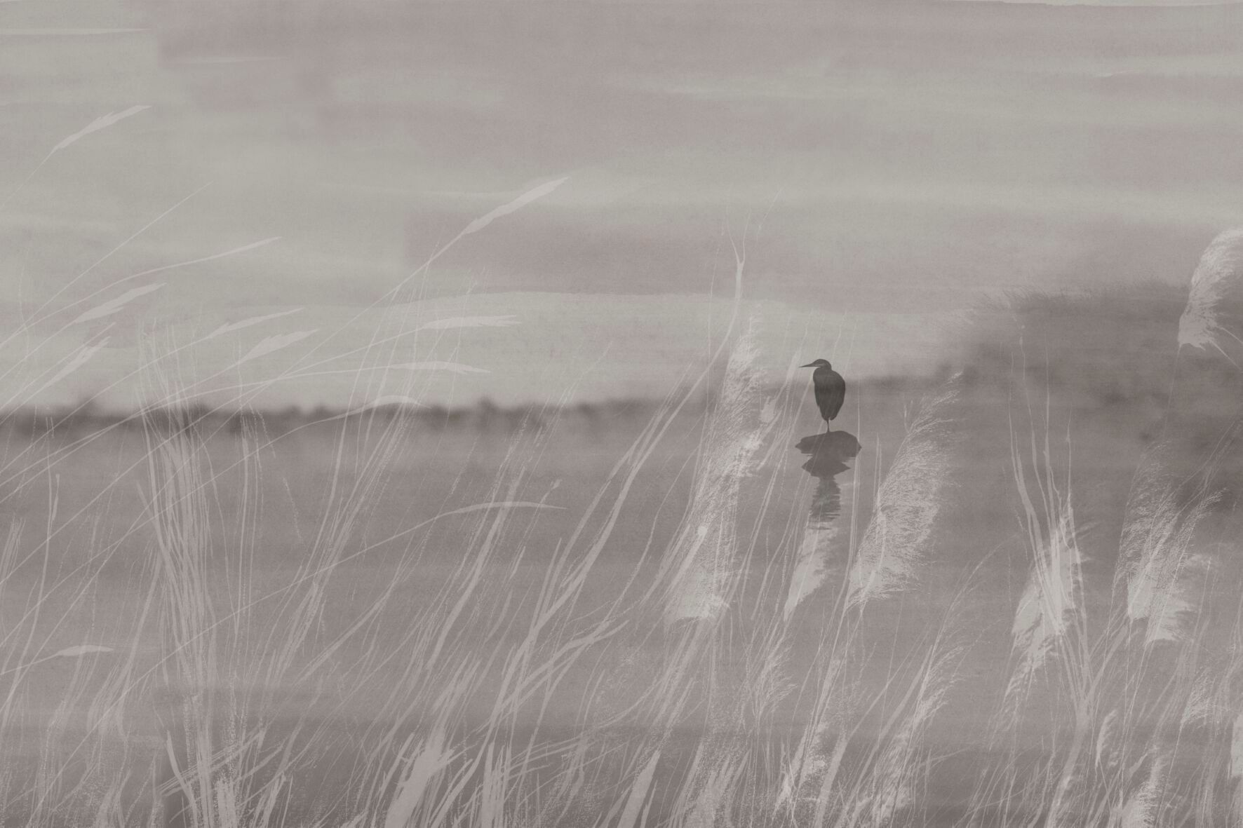 Обои с пейзажами GLAMORA Creative Collection Chapter XIV ARCH-00078907 - Вид №1