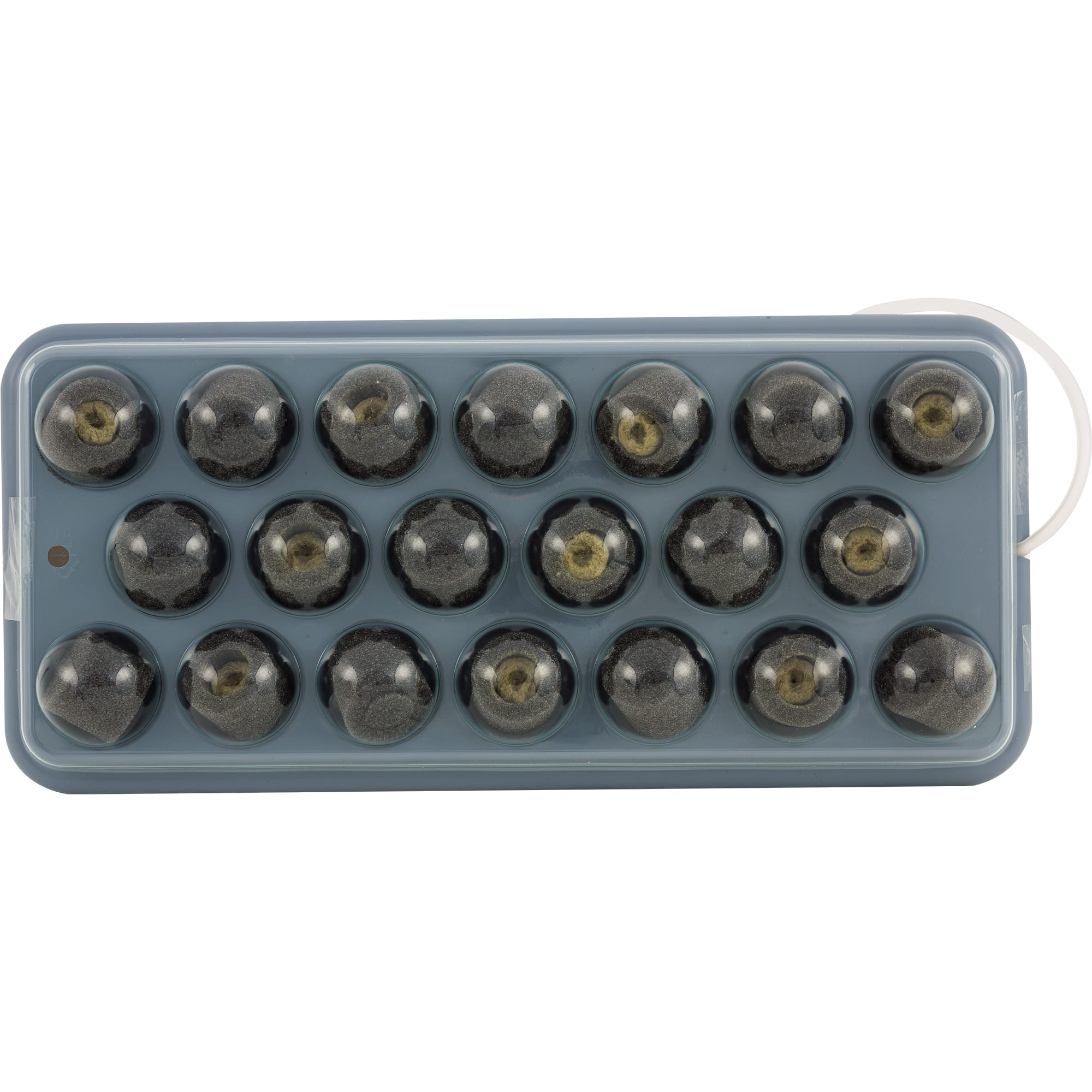 82116459 Проращиватель Здоровья клад «Чудо грядка» Santreyd  - Вид №2