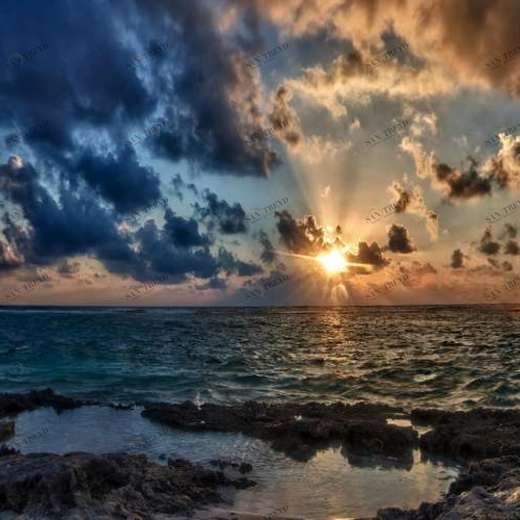 WP01447 Фотообои Verol Фотообои decoline 1х1 м