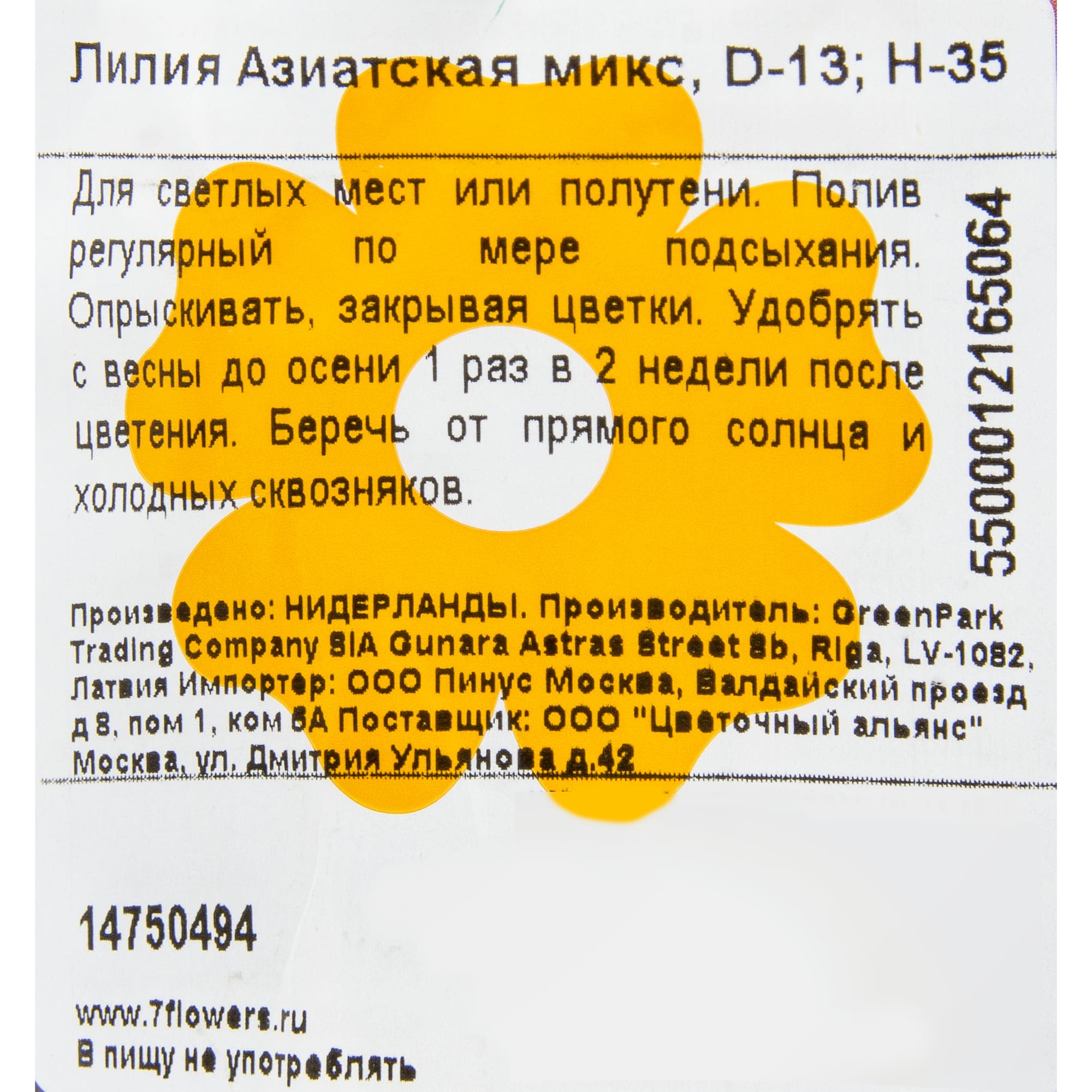 14750494 Лилия Сувенир 13х40 см Santreyd  - Вид №2