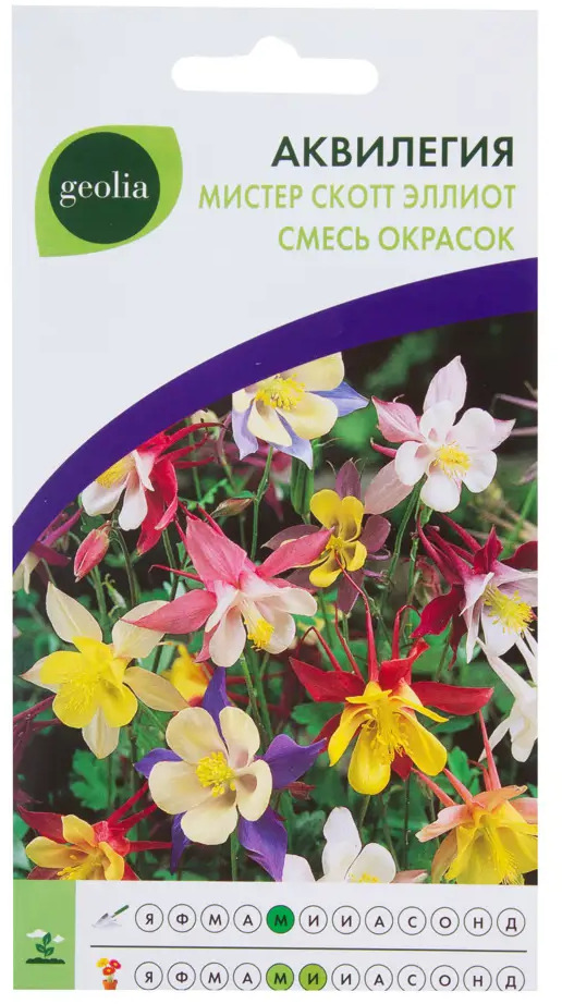 17585711 Аквилегия Geolia Мистер Скотт Эллиот STLM-0008401