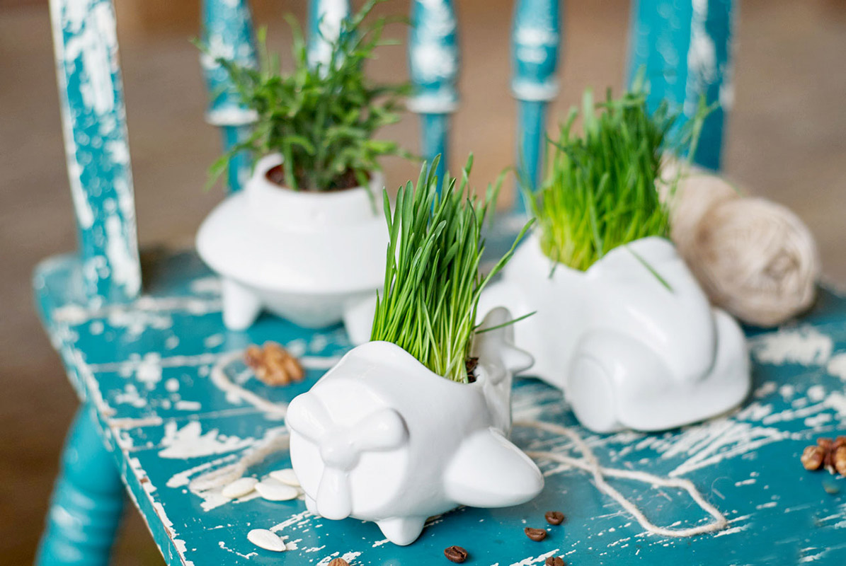 Набор для выращивания eco "Самолет" ЭКОЧЕЛОВЕКИ  254583 Белый  - Вид №1