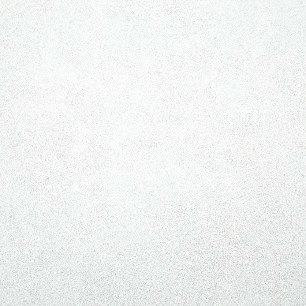 Флизелиновые обои Ateliero Rinaldi белые с виниловым покрытием 87904520 STLM-0076116 - Вид №1