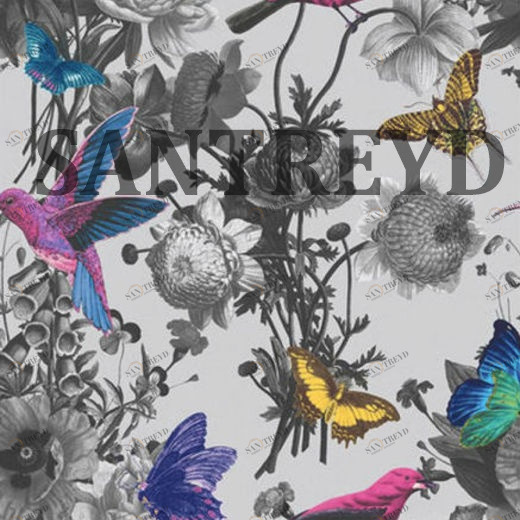 106430 Обои Graham&Brown Curiosity