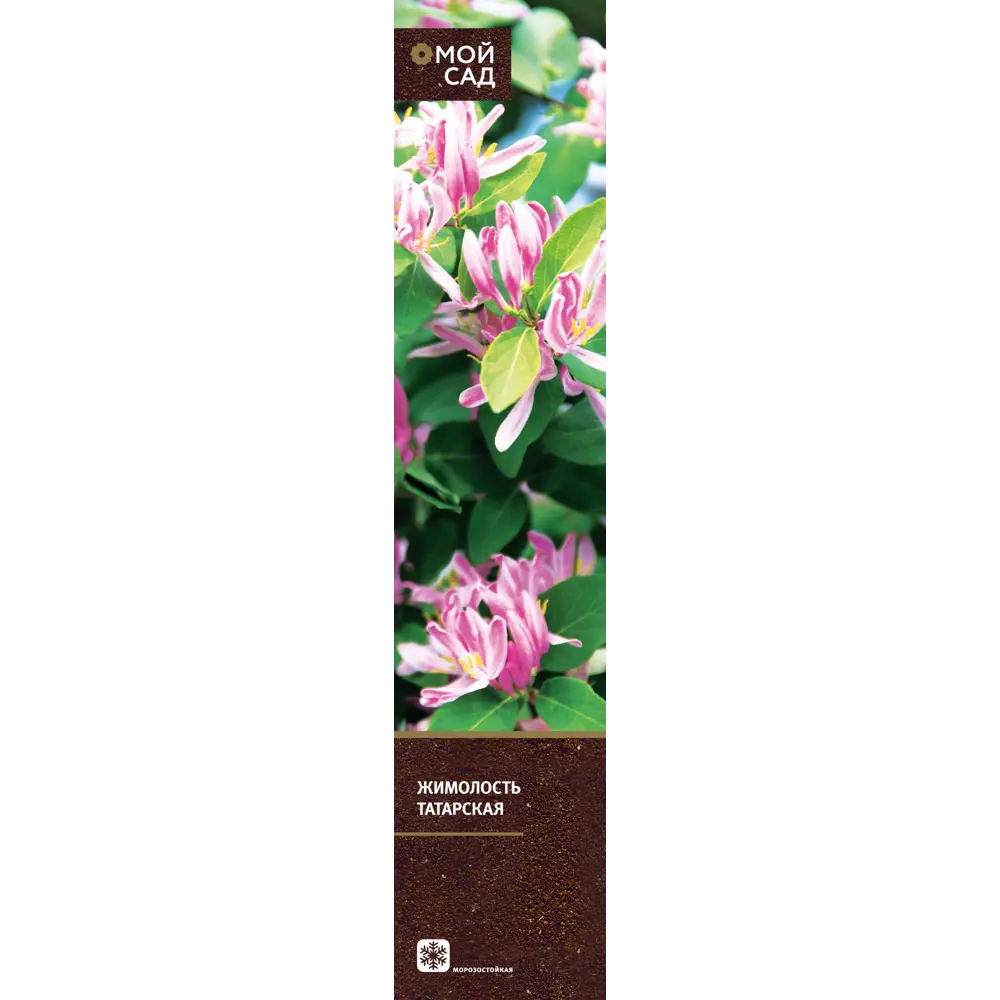 Вьющиеся растения микс h20 см 89406836 STLM-2065945 Santreyd  - Вид №2