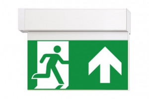 DST-4046 Ikus 2211-b Daisalux Светильники и спец. Белый