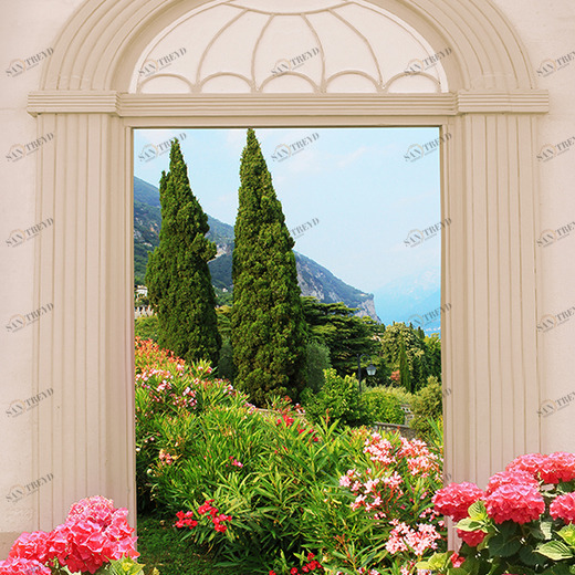 D2-021 Фотообои DIVINO Collection D 2.7х2 м D2021