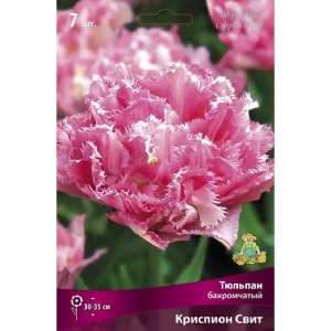 Луковицы тюльпана бахромчатого Криспион Свит, 7 шт. 89433493