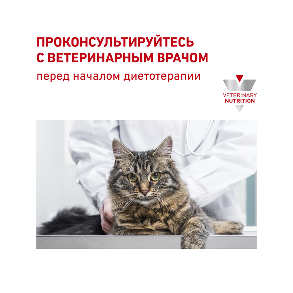 УТ0009092 Корм для кошек Vet Diet Fibre Response FR31 при нарушении пищеварения, птица сух. 400г ROYAL CANIN  - Вид №8