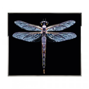 Libra Смешанная техника Visionnaire