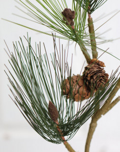 1804 883 a3 Искусственный сосновый спрей с шишками, 38 см, зеленый H-andreas