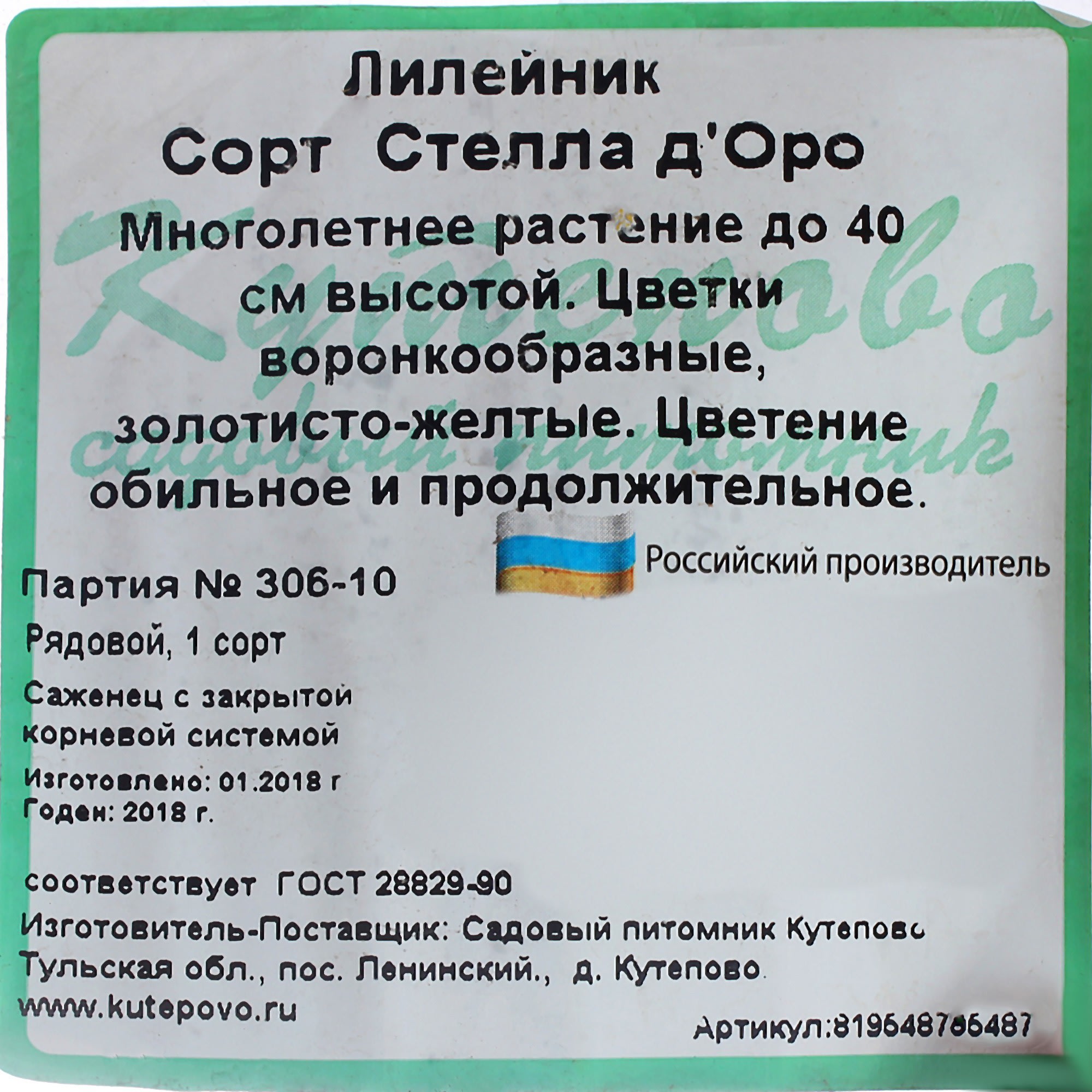 81954873 Лилейник С1 «Стелла Д`Оро» Santreyd  - Вид №1