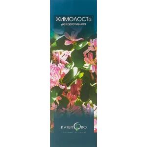 17496891 Жимолость альпийская в коробке STLM-0959800
