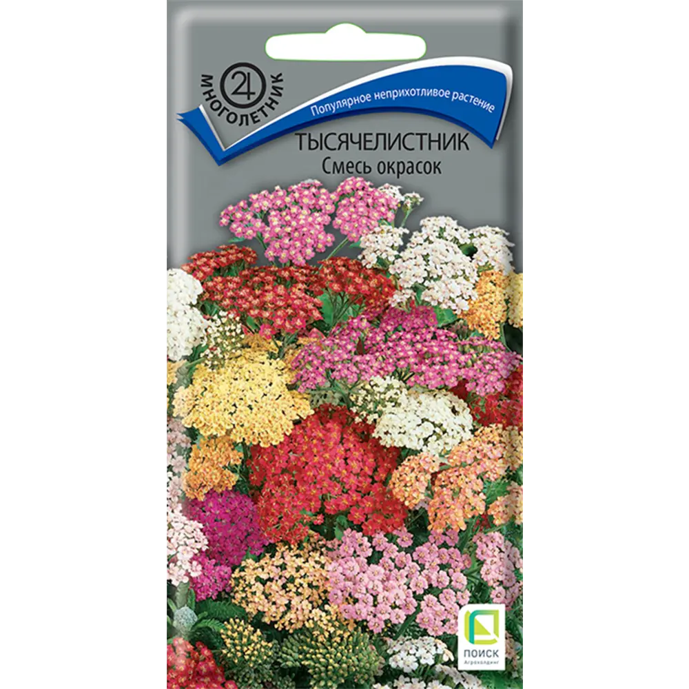 ПОИСК Тысячелистник декоративный микс - ажурное украшение сада 89401096 STLM-1578814