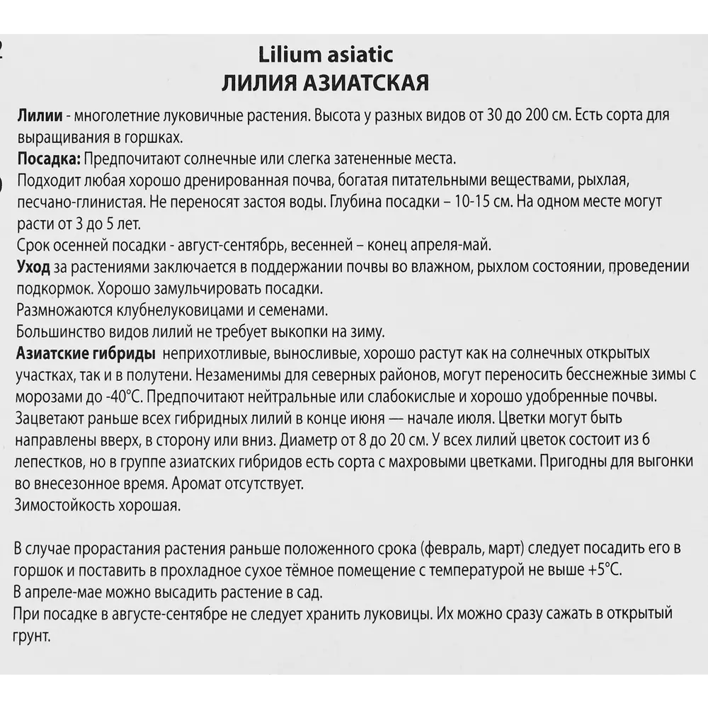 Лилия азиатская Пепл Лайф, 88659178 STLM-2053317 ПОИСК  - Вид №2