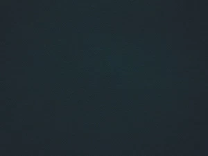 COLORISTICA 2211-71 Портьерная ткань  Лён  Shamrock