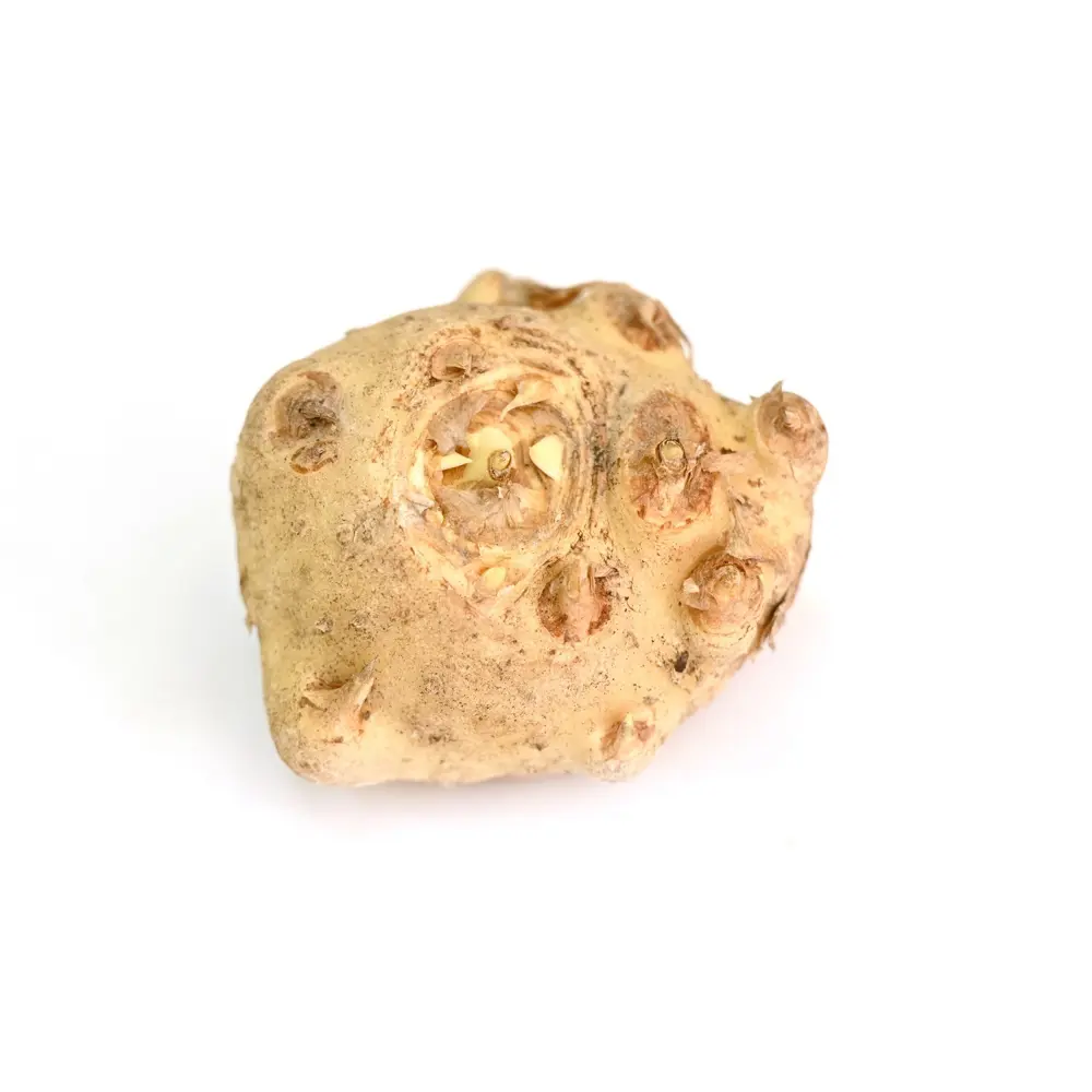 Калла Geolia Белопятнистая STLM-2130255 - Вид №1