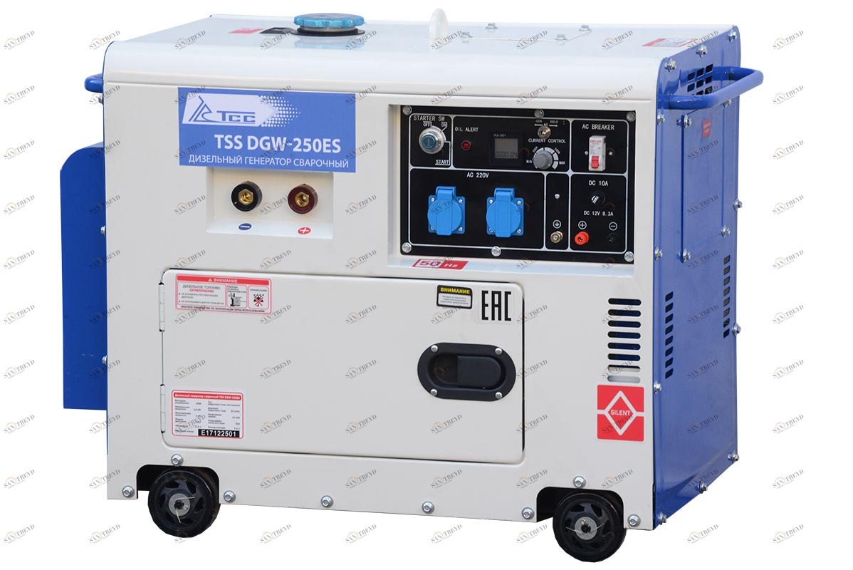 Дизельный сварочный генератор TSS DGW-250ES Santreyd sun-id-1034743