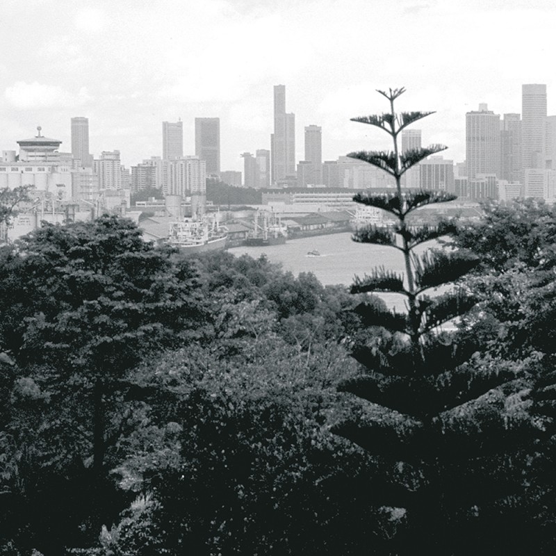 0117/CX38 Картина 0117 Adriani e Rossi 