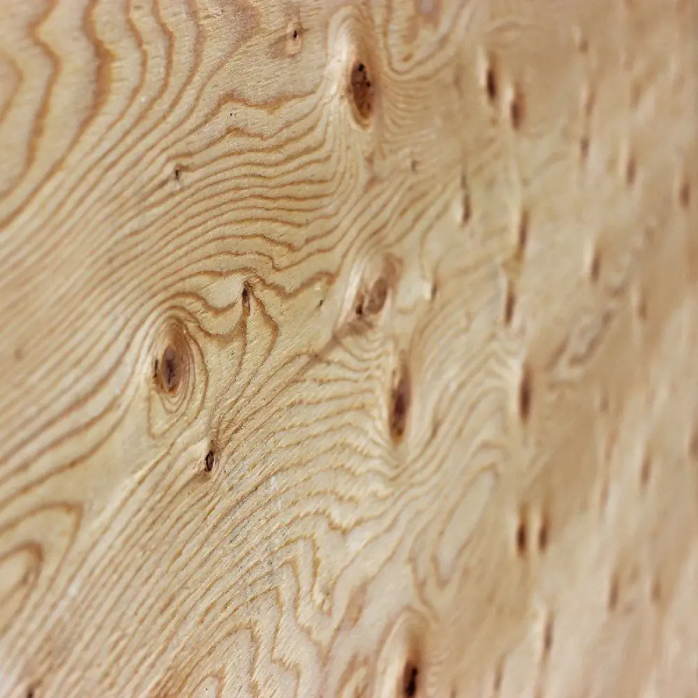 Santreyd Влагостойкая фанера 18 мм для наружных работ 82366658 STLM-0025567 - Вид №1