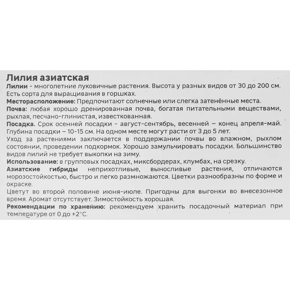 Лилия Geolia азиатская Йети STLM-2162769 - Вид №3