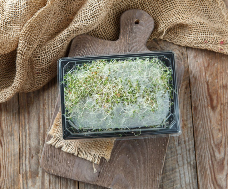 4172 Микрозелень люцерны Вкусляндия  - Вид №2